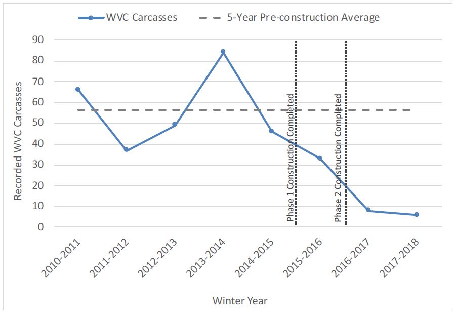 Figure E-2 from the Progress Report shows mule deer and elk carcass counts recorded by Blue Valley Ranch and CO Parks & Wildlife compared to the 5-yr pre-construction average of 56.4 carcasses per year. 