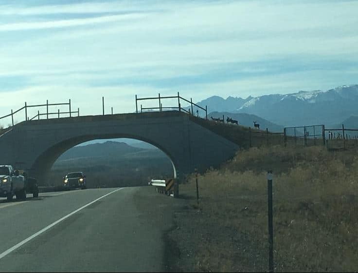 CO State Hwy 9 Project Final Monitoring Report Blue Valley Ranch